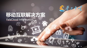 企业个性化定制 移动互联终端一站式服务与网络技术咨询