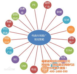 网加科技 一站式网络推广与技术咨询解决方案